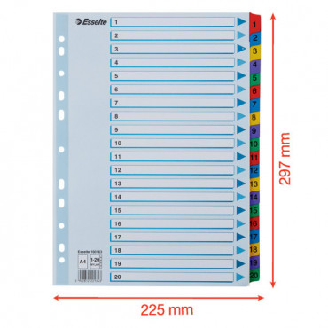 Esselte kartonkirekisteri Mylar 1-20 | E. Kylmälä Oy