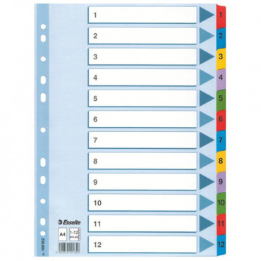 Esselte kartonkirekisteri Mylar 1-12 | E. Kylmälä Oy