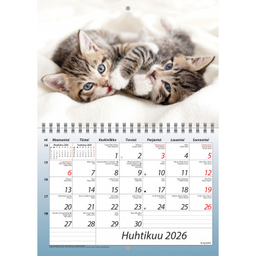 Kisut A5 | E. Kylmälä Oy