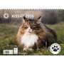Kissat | E. Kylmälä Oy